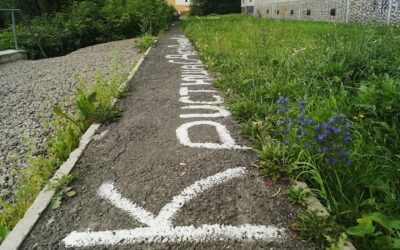 Ile km trzeba przejść żeby schudnąć?