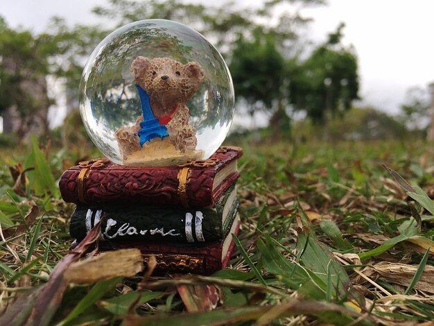 Endomondo koniec co w zamian wybierają biegacze?