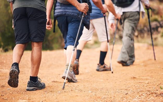 Co to nordic walking i dlaczego zyskuje na popularności?