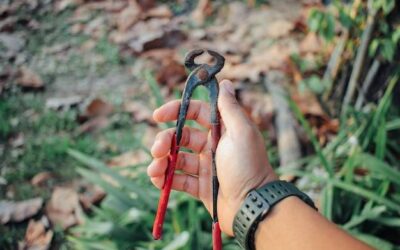 Jak dobrać długość kijków trekkingowych do swoich potrzeb?