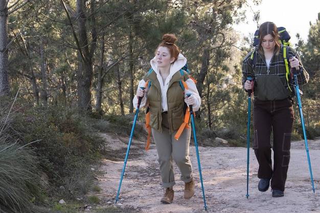 Kije trekkingowe czy warto je zabrać na górską wędrówkę?