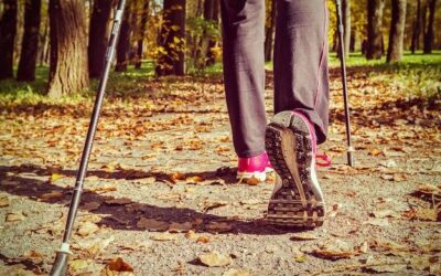 Nordic walking efekty po jakim czasie można zauważyć?