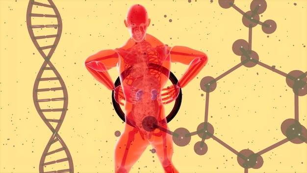 Gdzie znajduje się białko w naszym organizmie?