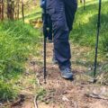 Jak ustawić kijki do chodzenia aby poprawić komfort marszu?